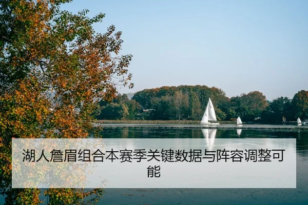 湖人詹眉组合本赛季关键数据与阵容调整可能